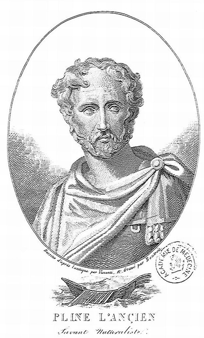 Gaius Plinius Secundus (AD 23/24 – 79)